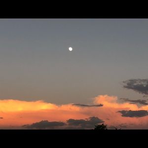 Meet your Posher, Martha